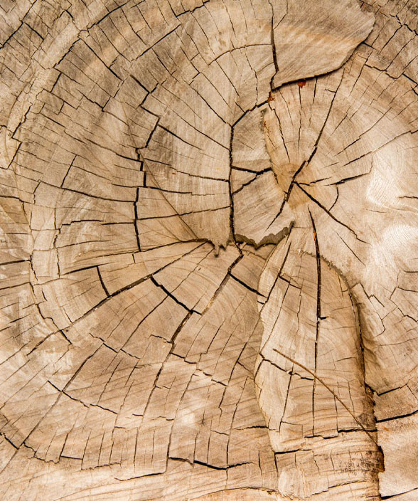 Muestra una textura de madera